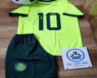 * CONJUNTO INFANTIL CAMISETA E BERMUDA FUTEBOL PALMEIRAS