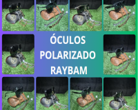 * ÓCULOS DE SOL ADULTO POLARIZADO RAYBAM + CASE RAYBAM